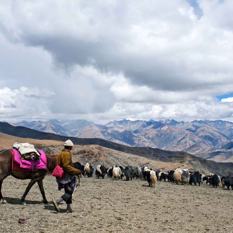 Lower Dolpo Trek